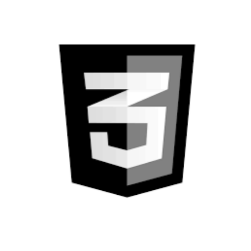 CSS logo